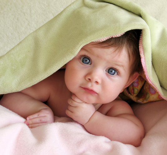Shutterstock 2808359