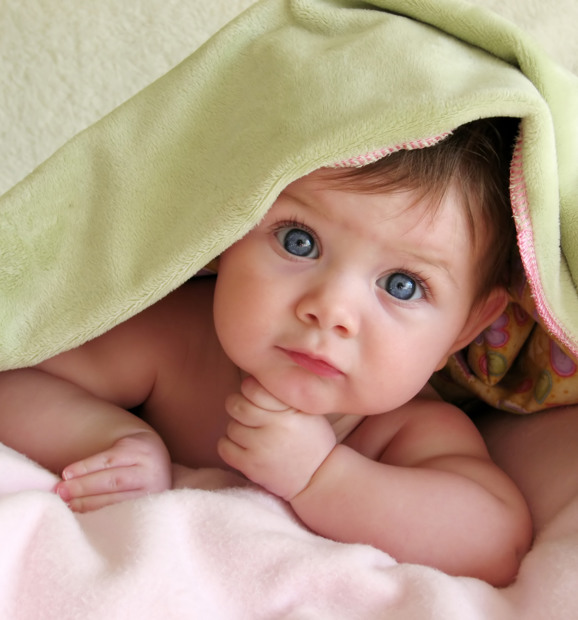Shutterstock 2808359
